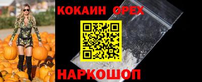 крисы Ирбит