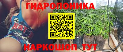 крисы Ирбит