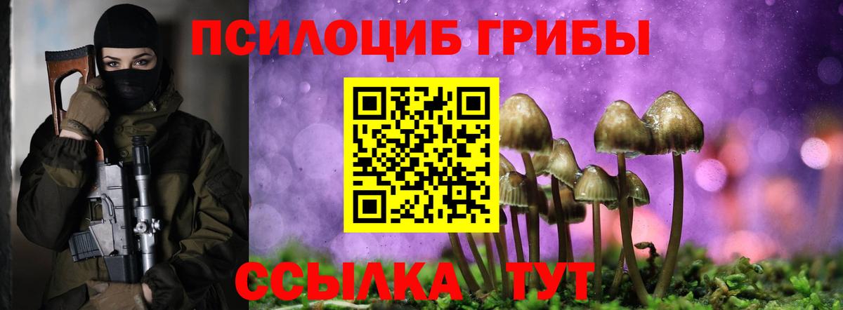 Галлюциногенные грибы прущие грибы  Вход с VPN  Арзамас 